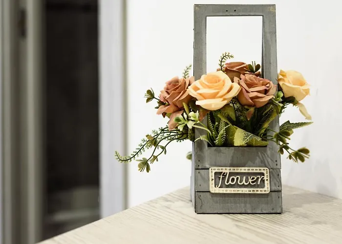 Believe One Con Nocleg ze śniadaniem